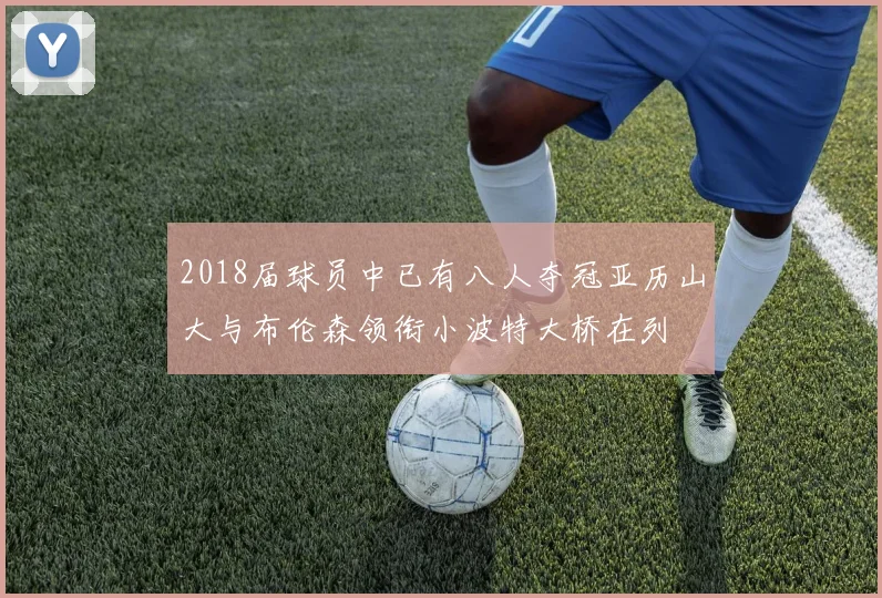 2018届球员中已有八人夺冠亚历山大与布伦森领衔小波特大桥在列